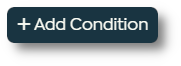 add condition button.png