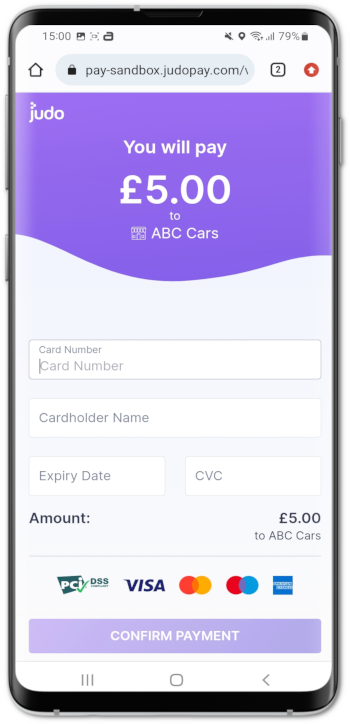 dc_pay_by_link_webpage_350x724.png